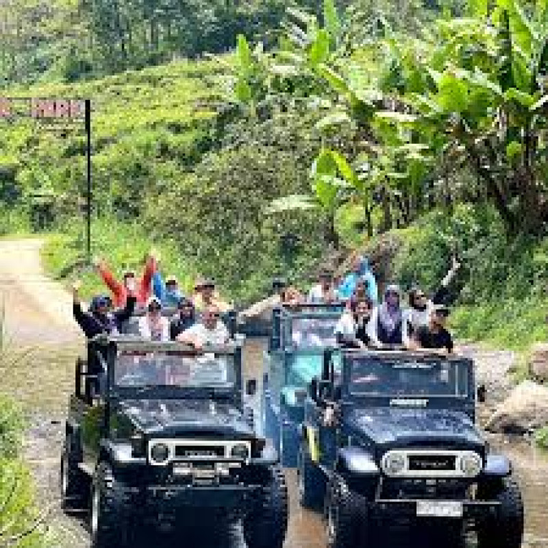 wisata